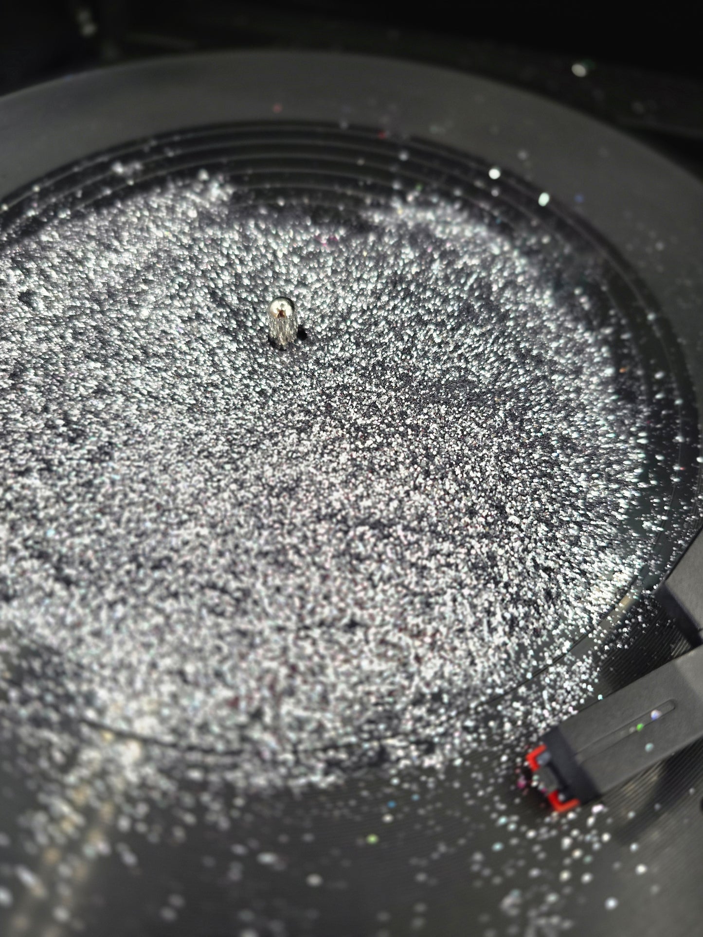 I’m Bulletproof, Nothing To lose