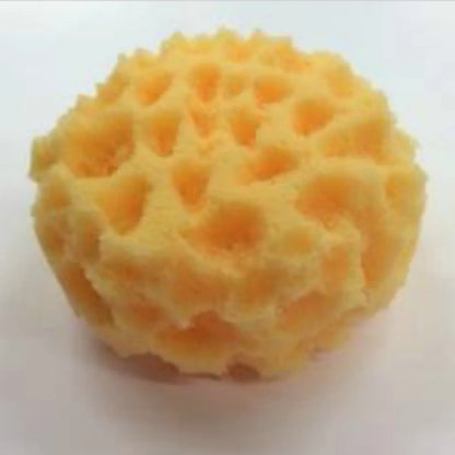 Textured Sponge for Faux Finishes and Glazing