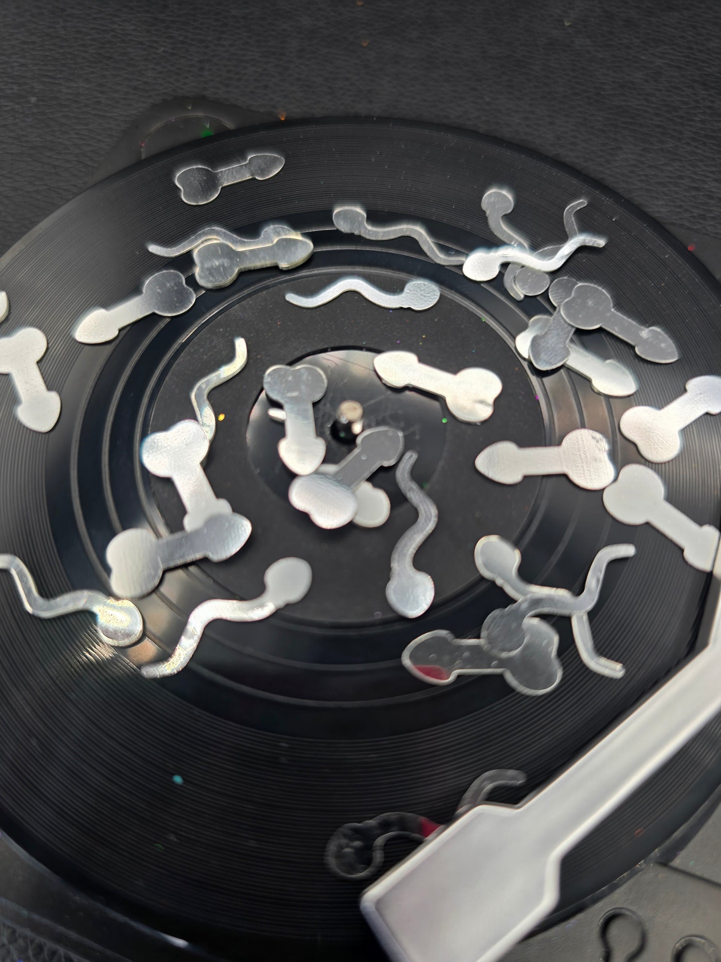 Dog Bones & Tad poles