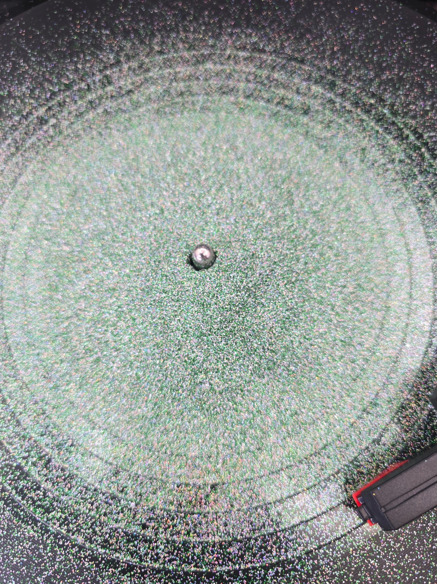 Oh By Gosh By Golly!