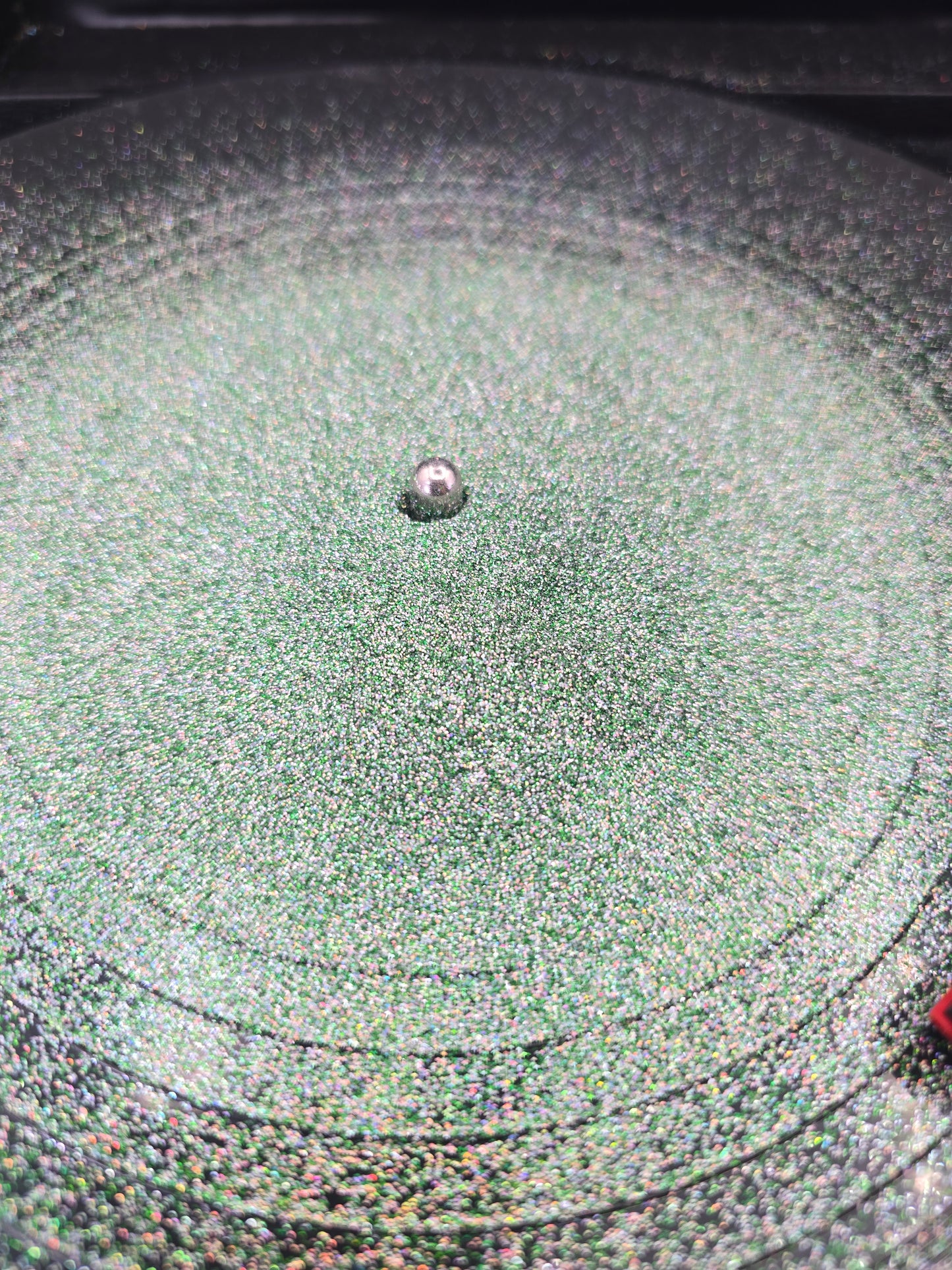 Oh By Gosh By Golly!